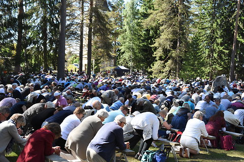 Katso suurempi versio kuvasta