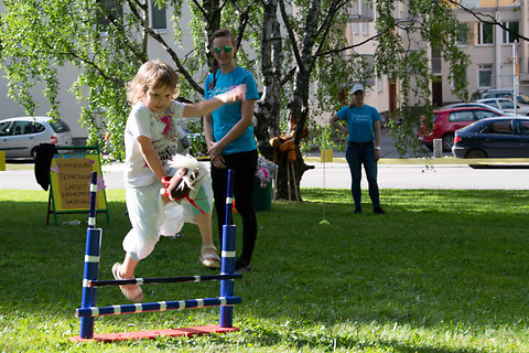 Katso suurempi versio kuvasta