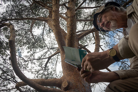 Katso suurempi versio kuvasta