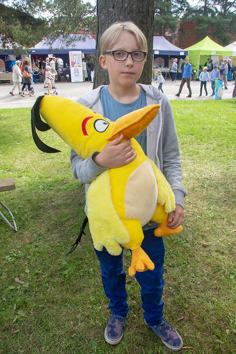 Katso suurempi versio kuvasta