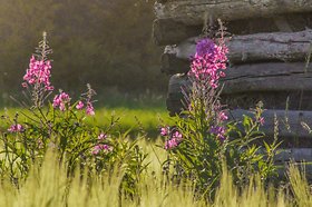 Katso suurempi versio kuvasta