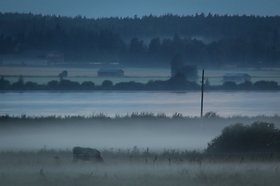 Katso suurempi versio kuvasta