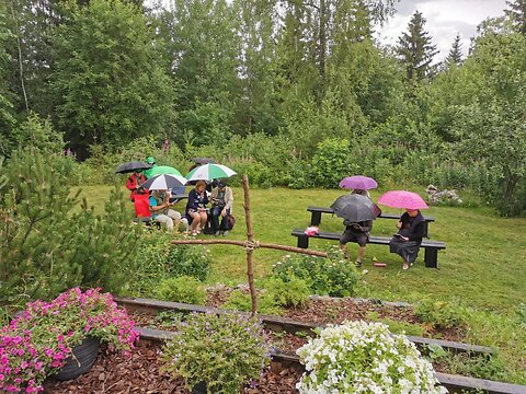 Katso suurempi versio kuvasta