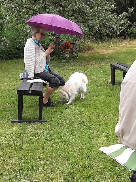 Katso suurempi versio kuvasta