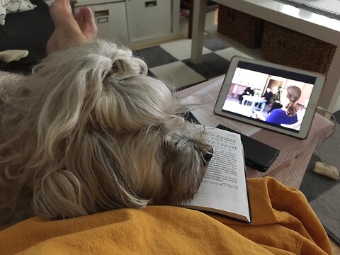 Katso suurempi versio kuvasta