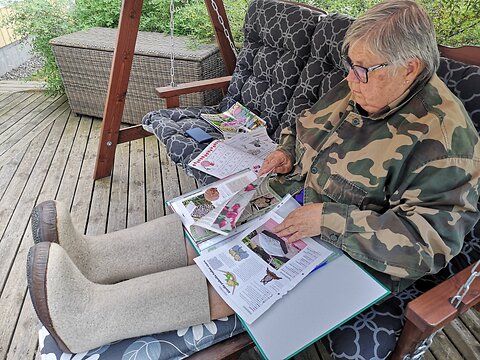 Katso suurempi versio kuvasta