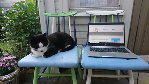 Katso suurempi versio kuvasta Pihaseurat