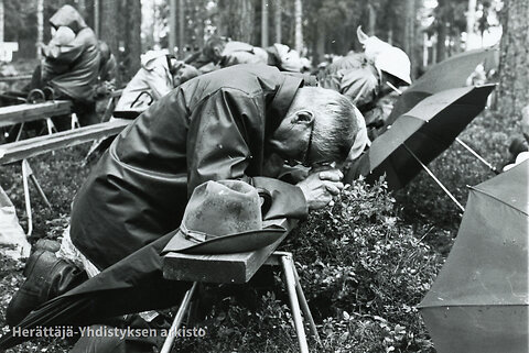 Katso suurempi versio kuvasta