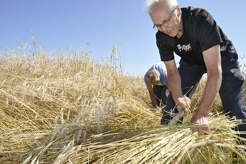 Katso suurempi versio kuvasta