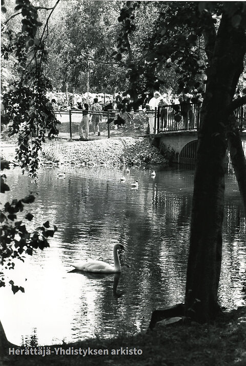 Katso suurempi versio kuvasta