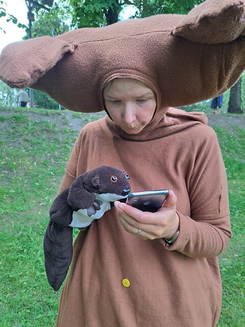 Katso suurempi versio kuvasta