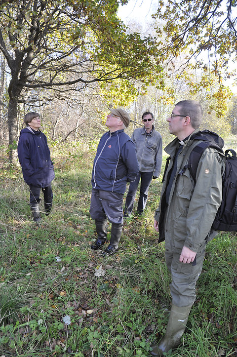 Katso suurempi versio kuvasta