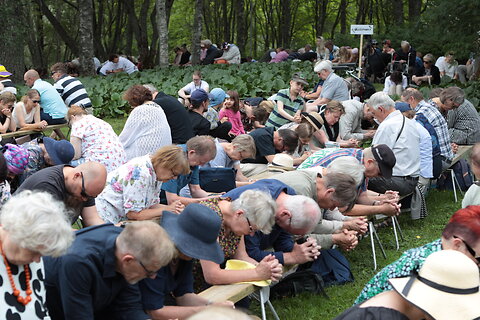 Katso suurempi versio kuvasta