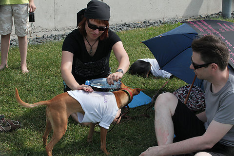 Katso suurempi versio kuvasta