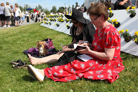 Katso suurempi versio kuvasta