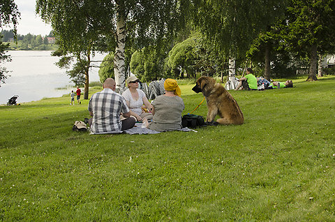 Katso suurempi versio kuvasta