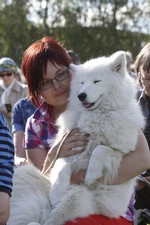 Katso suurempi versio kuvasta