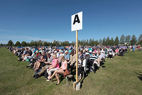 Katso suurempi versio kuvasta