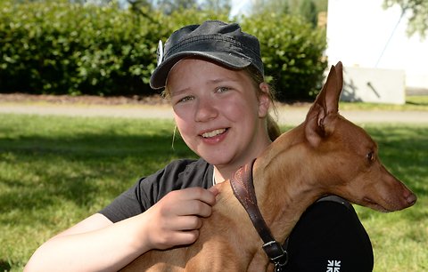 Katso suurempi versio kuvasta