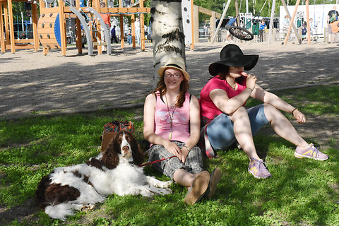 Katso suurempi versio kuvasta